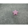 Bouton étoile de mer framboise 15mm