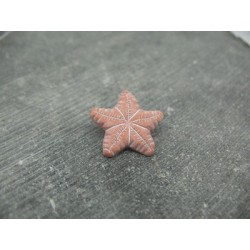 Bouton étoile de mer terracotta 21mm