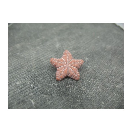 Bouton étoile de mer terracotta 21mm