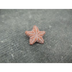 Bouton étoile de mer terracotta 17mm