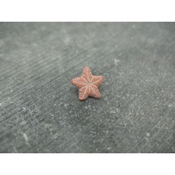 Bouton étoile de mer terracotta 12mm